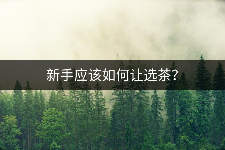 新手應(yīng)該如何讓選茶？