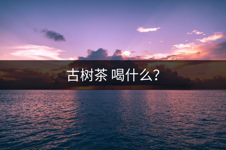 古樹茶 喝什么？