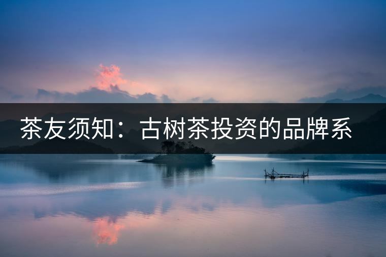 茶友須知：古樹(shù)茶投資的品牌系數(shù)分析