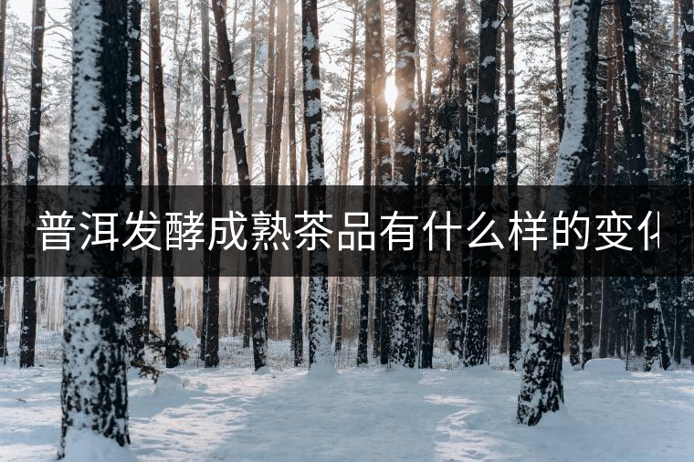 普洱發(fā)酵成熟茶品有什么樣的變化？