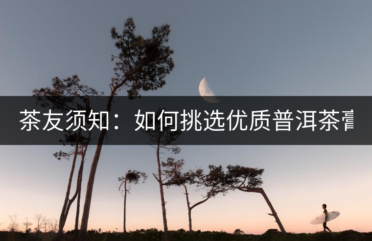 茶友須知：如何挑選優(yōu)質(zhì)普洱茶膏？