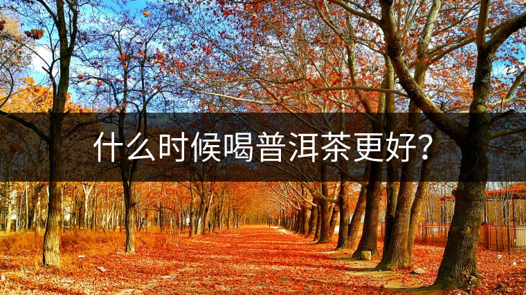什么時(shí)候喝普洱茶更好？