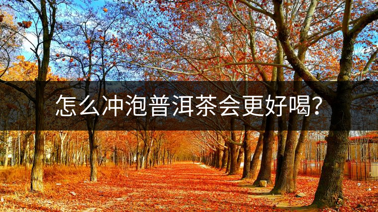 怎么沖泡普洱茶會更好喝？