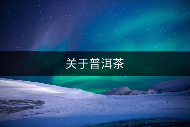 關(guān)于普洱茶 關(guān)于普洱茶