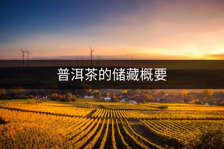 普洱茶的儲(chǔ)藏概要