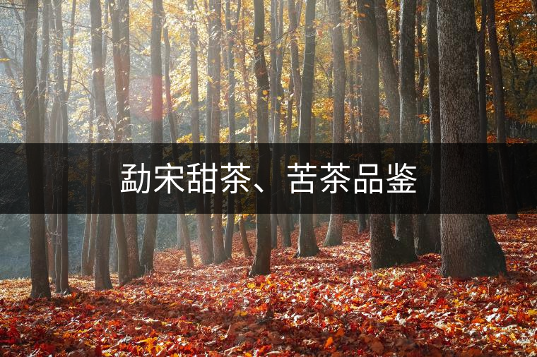 勐宋甜茶、苦茶品鑒