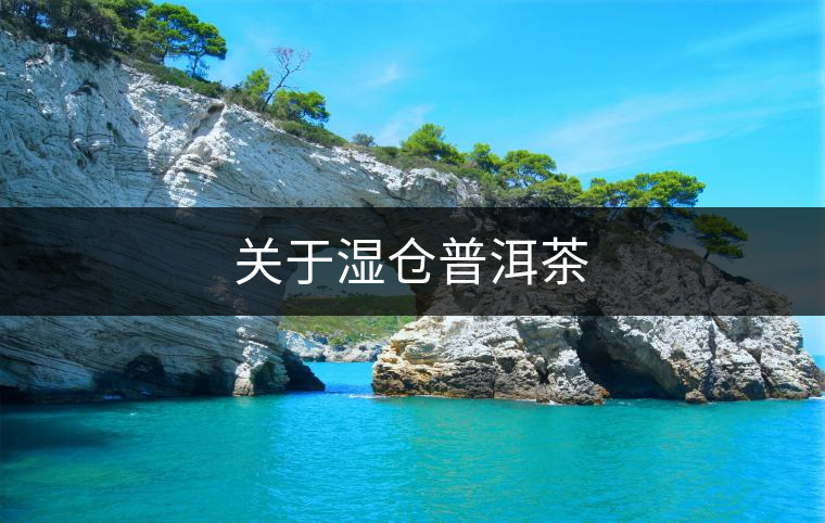 關(guān)于濕倉普洱茶 關(guān)于濕倉普洱茶