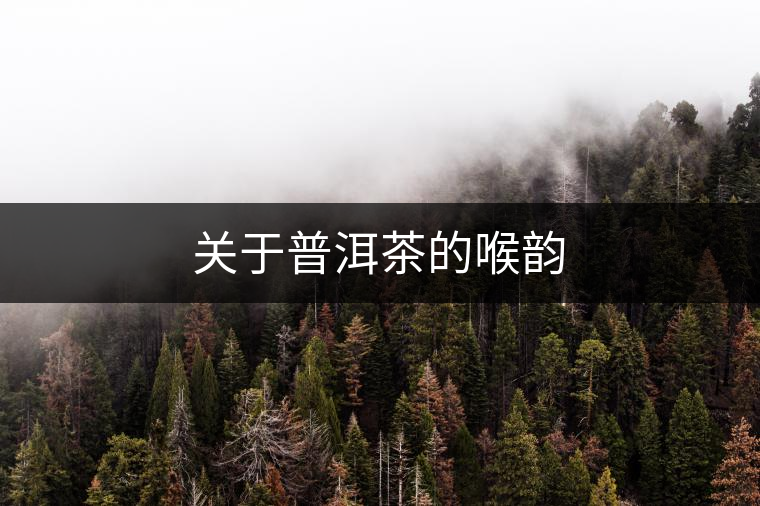 關于普洱茶的喉韻 關于普洱茶的喉韻