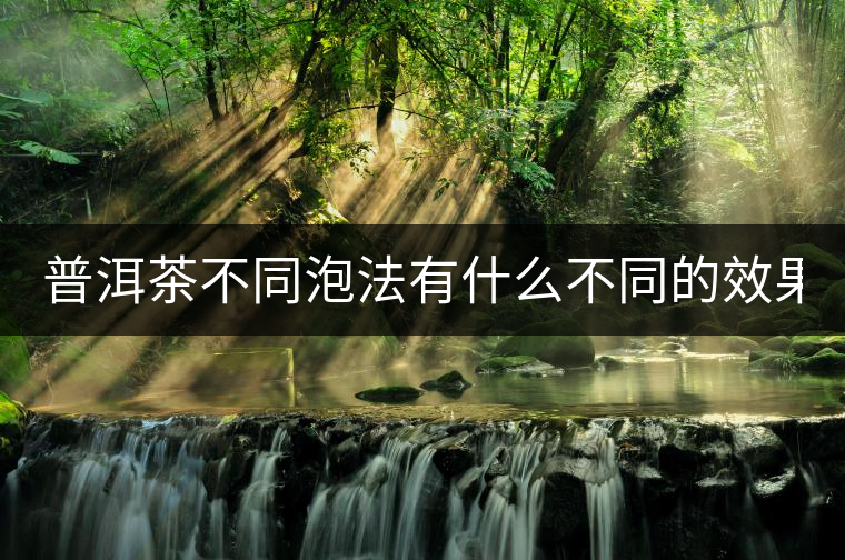 普洱茶不同泡法有什么不同的效果？