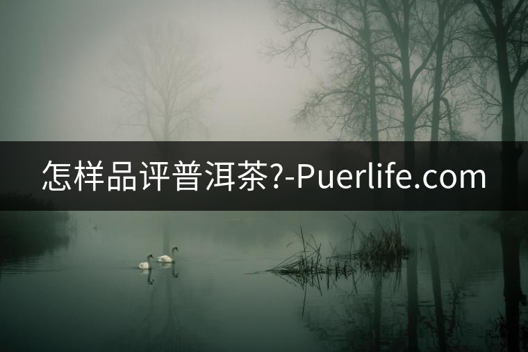 怎樣品評(píng)普洱茶?-Puerlife.com 怎樣品評(píng)普洱茶?-Puerlife.com