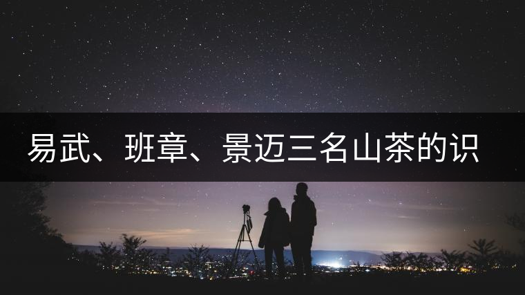 易武、班章、景邁三名山茶的識(shí)別