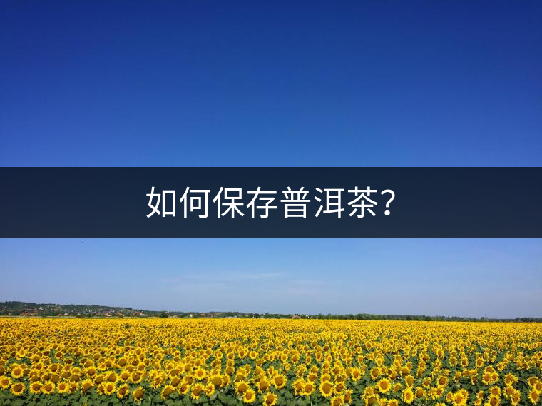 如何保存普洱茶？