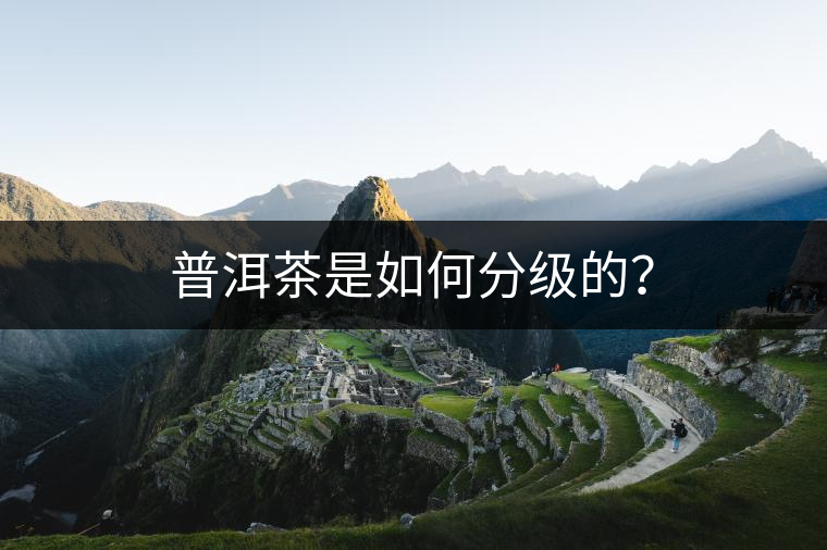 普洱茶是如何分級的？