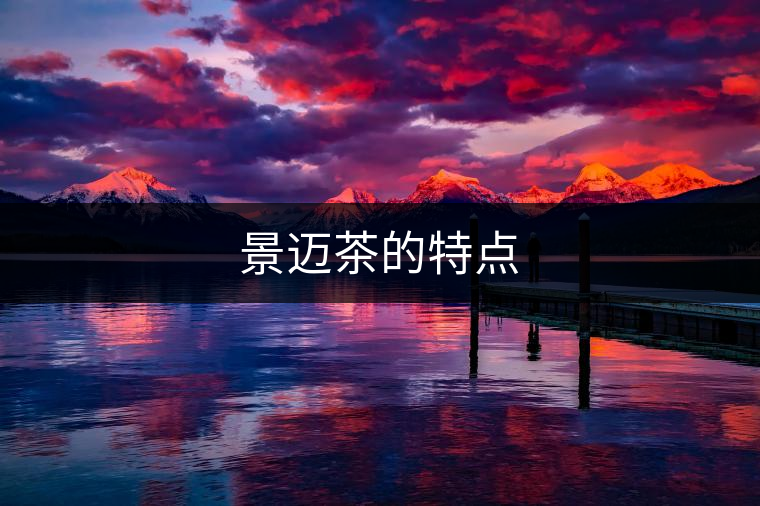 景邁茶的特點
