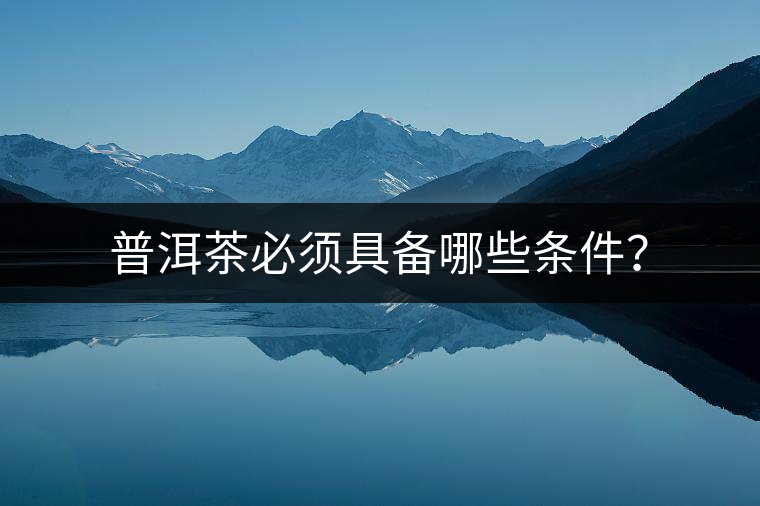 普洱茶必須具備哪些條件？