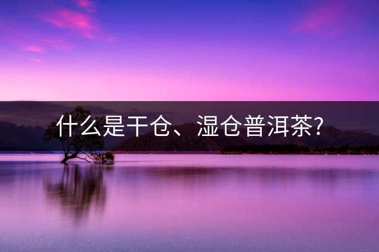 什么是干倉、濕倉普洱茶?