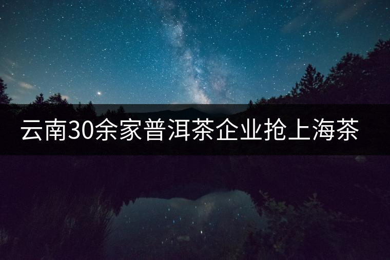 云南30余家普洱茶企業(yè)搶上海茶展展位