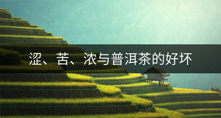 澀、苦、濃與普洱茶的好壞