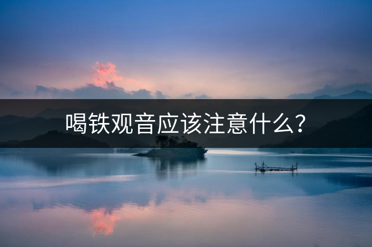 喝鐵觀音應(yīng)該注意什么？