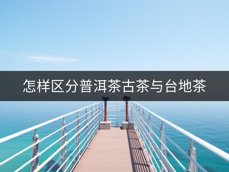 怎樣區(qū)分普洱茶古茶與臺地茶