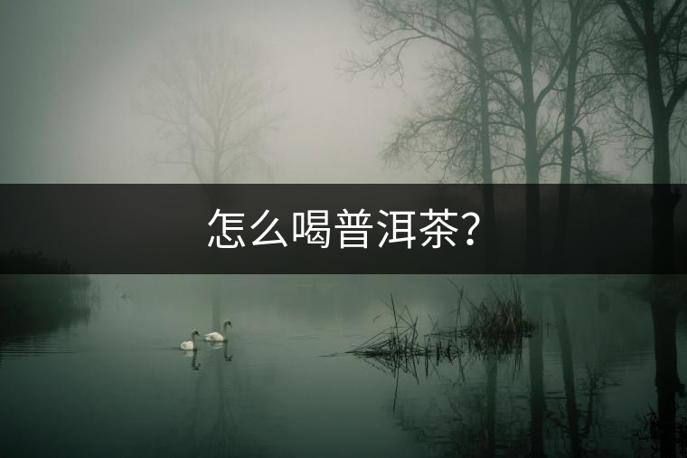 怎么喝普洱茶？