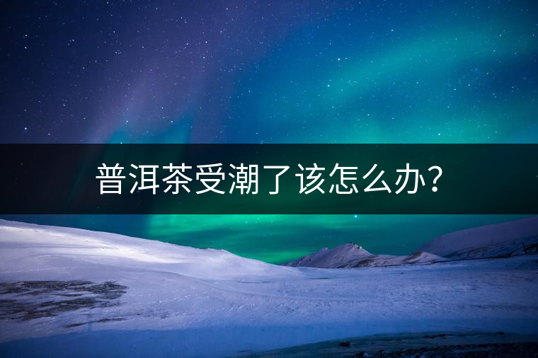 普洱茶受潮了該怎么辦？