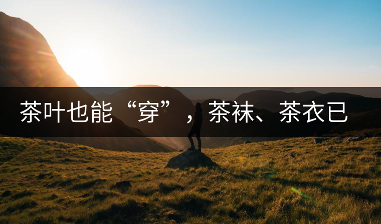 茶葉也能“穿”，茶襪、茶衣已進(jìn)入研發(fā)階段