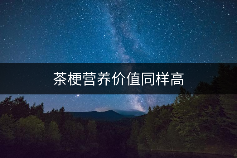 茶梗營養(yǎng)價(jià)值同樣高