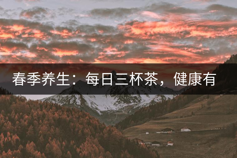 春季養(yǎng)生：每日三杯茶，健康有保障