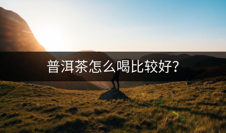 普洱茶怎么喝比較好? 普洱茶怎么喝比較好?