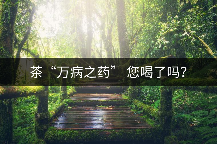 茶“萬病之藥” 您喝了嗎？