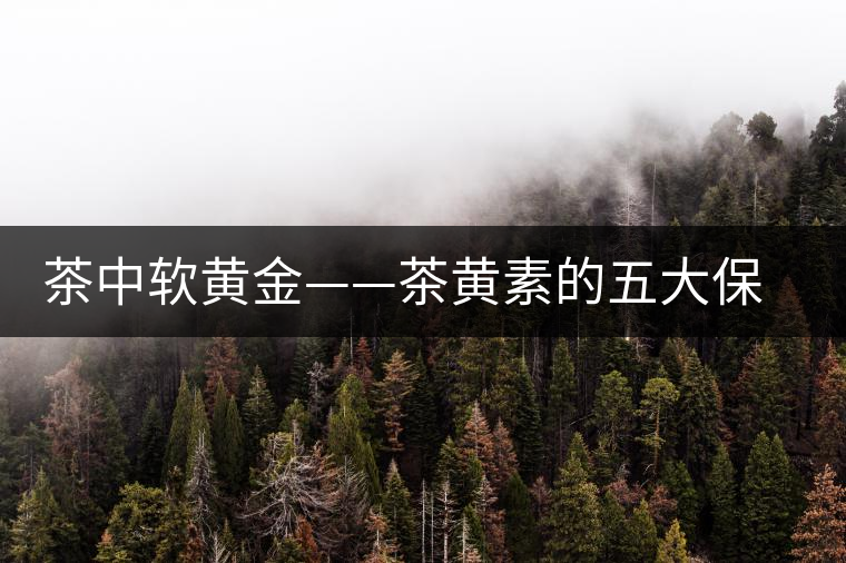 茶中軟黃金——茶黃素的五大保健作用及其機理