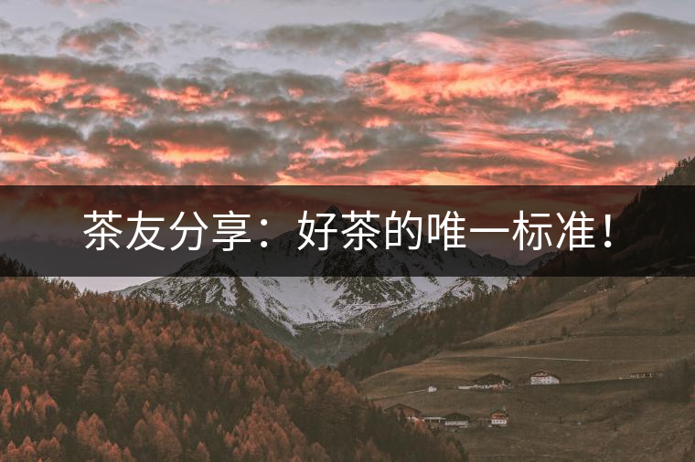 茶友分享：好茶的唯一標準！