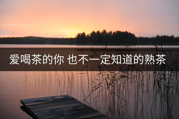 愛喝茶的你 也不一定知道的熟茶知識！