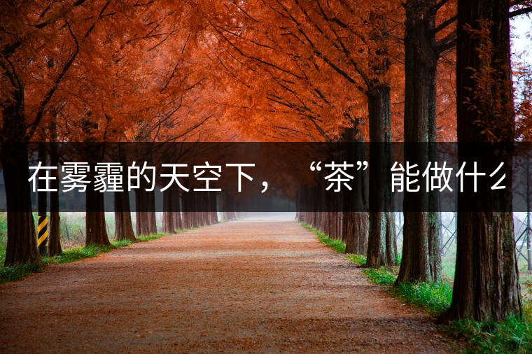 在霧霾的天空下，“茶”能做什么？