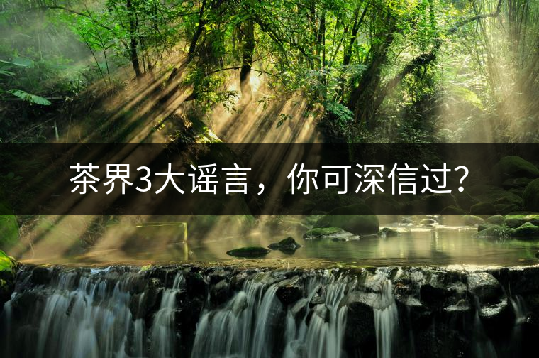 茶界3大謠言，你可深信過(guò)？