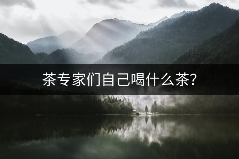 茶專家們自己喝什么茶？