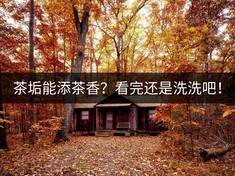 茶垢能添茶香？看完還是洗洗吧！