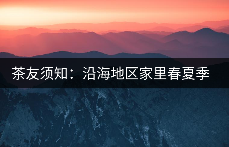 茶友須知：沿海地區(qū)家里春夏季節(jié)如何存儲(chǔ)普洱茶?