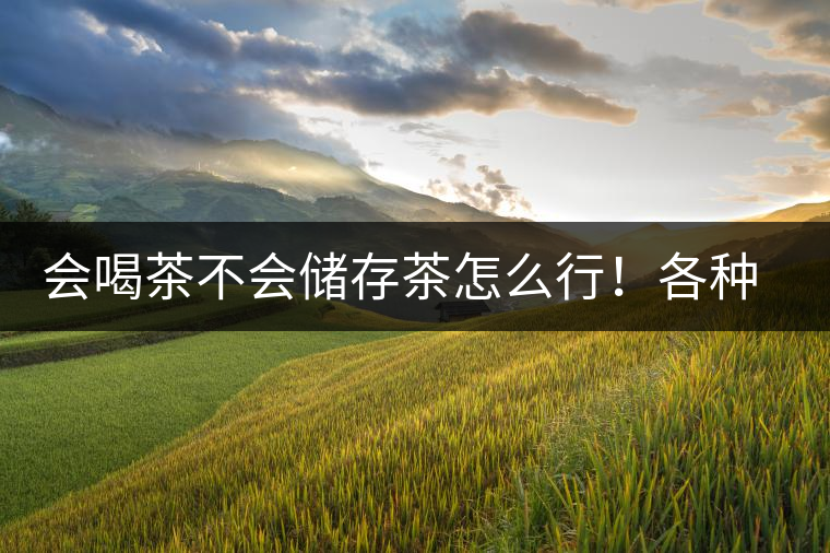 會喝茶不會儲存茶怎么行！各種存茶方法與技巧，把茶香留住