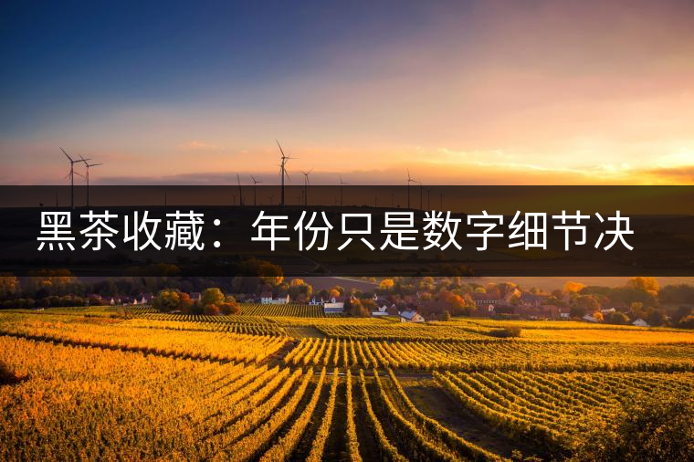 黑茶收藏:年份只是數(shù)字細節(jié)決定價值 黑茶收藏:年份只是數(shù)字細節(jié)決定價值