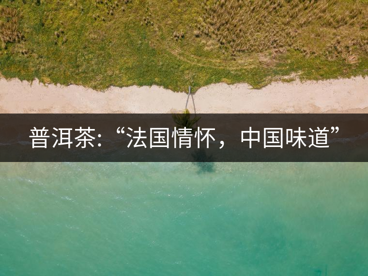 普洱茶:“法國情懷，中國味道”