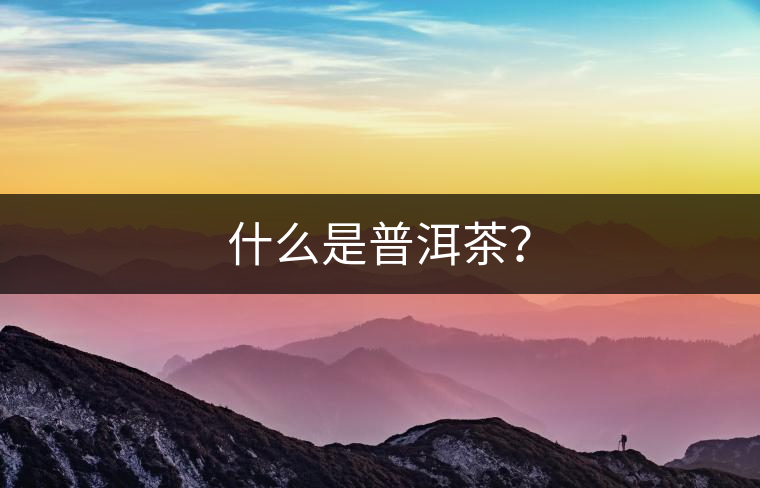 什么是普洱茶？