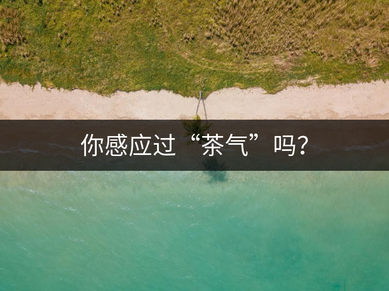 你感應(yīng)過(guò)“茶氣”嗎？