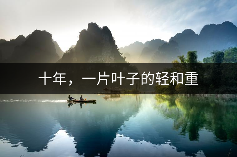 十年，一片葉子的輕和重