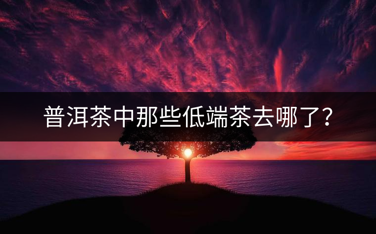 普洱茶中那些低端茶去哪了？