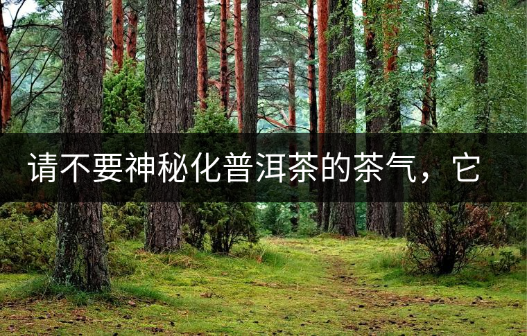 請不要神秘化普洱茶的茶氣，它是科學(xué)的存在