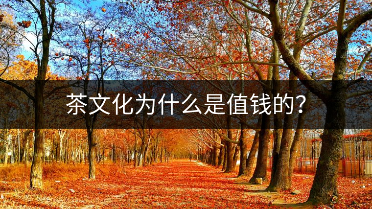 茶文化為什么是值錢的？
