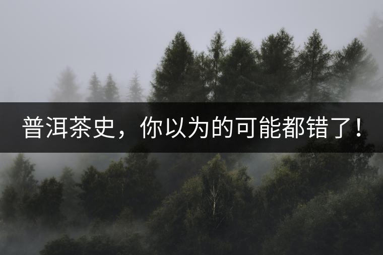 普洱茶史，你以為的可能都錯了！