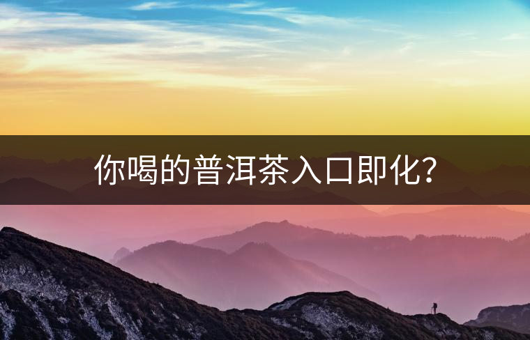 你喝的普洱茶入口即化？